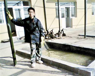 武汉理工大二男生休学养大雁开始自己的创业计划