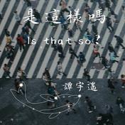 是这样吗(谭宇遥)