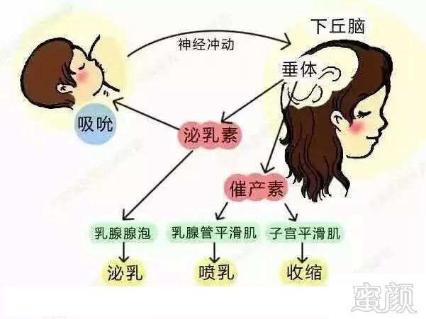 隆胸对哺乳期有什么影响