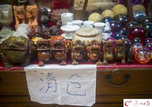 现在说再见太早!陪伴广州人17年的芳村花鸟市场暂不搬
