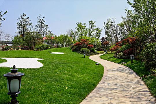 房地产果岭景观_图片大全—全景创意图库（quanjing.com）中国领先的正版图片视频素材网站