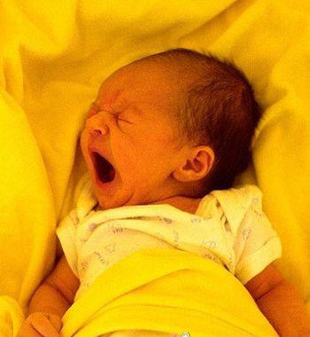 新生儿人工喂养怎样最好