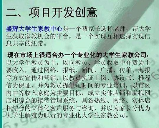 大学生校园网站创业计划书模板