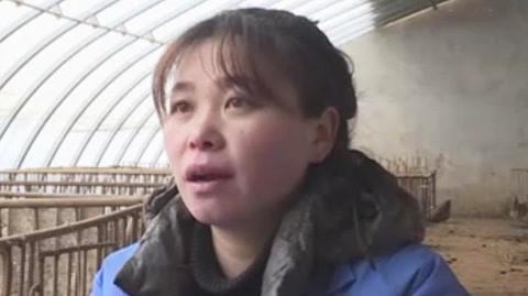 女猪倌眼光独到来创业冬天种花感受四季如春