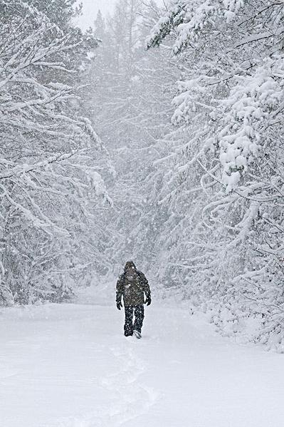 雪_图片大全—全景创意图库（quanjing.com）中国领先的正版图片视频素材网站