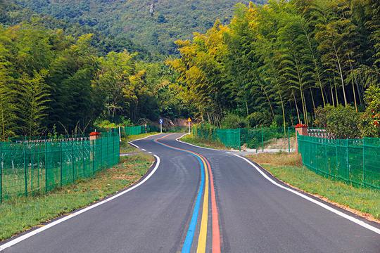 山村道路_天目湖_图片大全—全景创意图库（quanjing.com）中国领先的正版图片视频素材网站