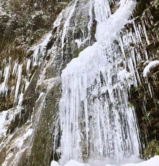 春节前的最后一个周末,成都这个冷门耍雪地巴适的很!