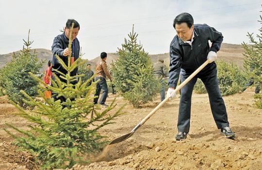 王君在参加自治区全民义务植树活动时指出:坚持不懈开展造林绿化工作