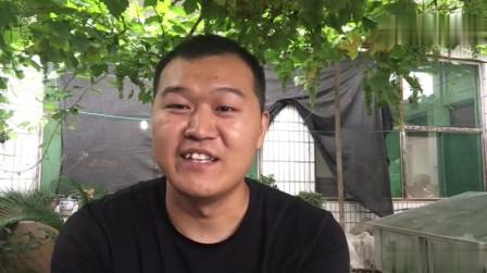 阿庆的教训，合伙生意千万不要超过3个人，开公司最好不要用熟人