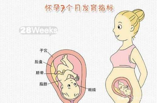 孕妇破水后多久生不缺氧