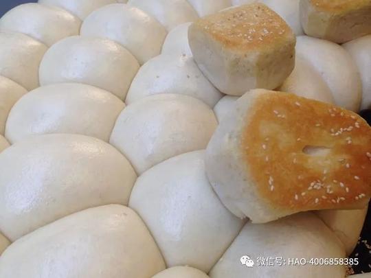 创业新宠"锅蒸馍"全国走俏!哈欧锅巴馍馍机蒸烤馍机登