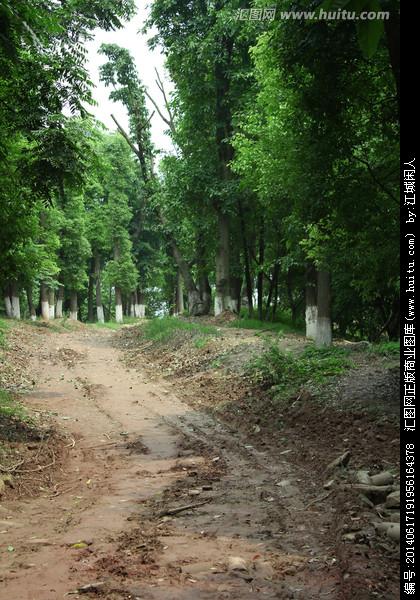 查看相似图收藏举报>泥巴路小路树林乡间小路车辙路公路林间小道