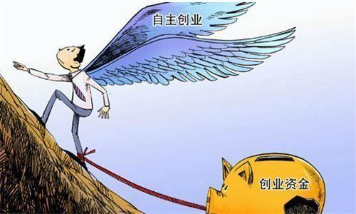 七个农村小本创业成功案例,白手起家致富金点子