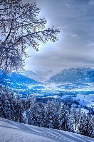 雪景唯美竖屏壁纸