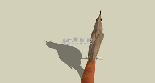 画眉鸟的skp模型素材后视图