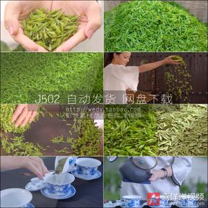 j502茶叶茶园采茶红茶山绿茶文化品茶泡茶喝茶壶茶艺高清视频素材