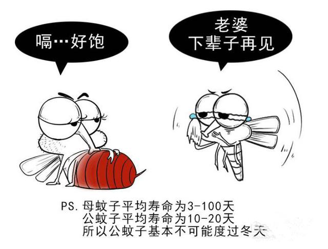 被蚊子咬了发什么朋友圈