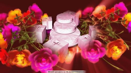 循环变换鲜花花瓣视频素材图片花朵图片背景图片植物图片鲜艳图片视频特效图片高清视频素材图片