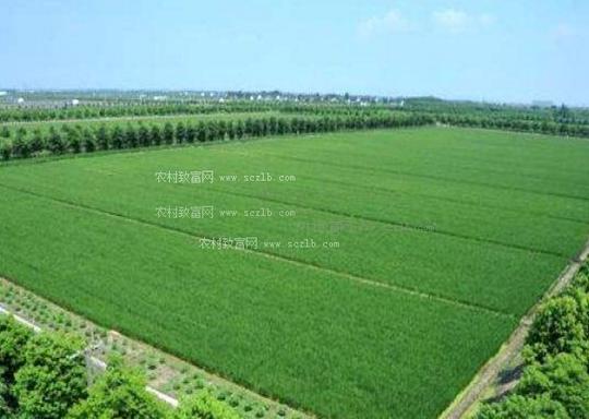 一是国家设立东北及中西部地区农民创业就业政策性贴息专项,明确补贴