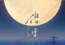 借月(王天阳)