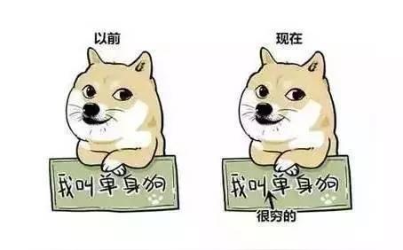 我不是单身狗,我是很穷的单身狗