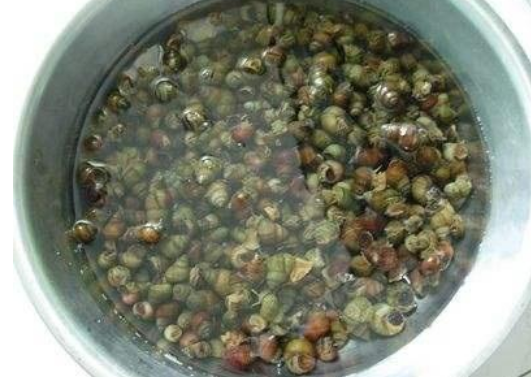 做小龙虾是焯水好还是油炸