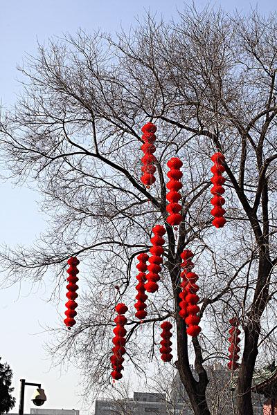 节日红灯笼_图片大全—全景创意图库（quanjing.com）中国领先的正版图片视频素材网站