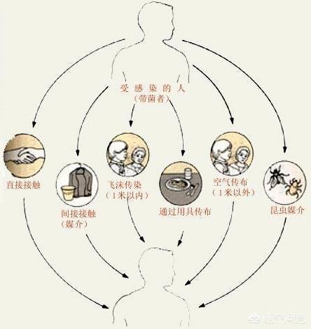 成人接吻会感染幽门螺旋杆菌吗