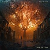 From The Ashes (with Skylar Grey)(ILLENIUM/Skylar Grey)
