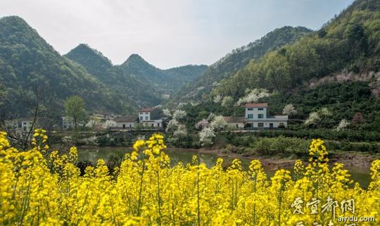 感受生活69旅游·健身·户外69春游玩手机是你的"习惯动作"