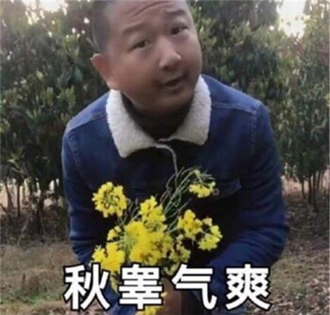 快手giao哥表情包