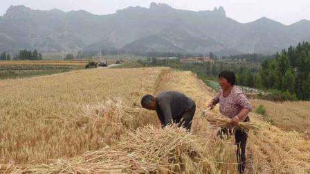 关于财富,农村老人说“财不进急门,福不进偏门”,有道理吗?