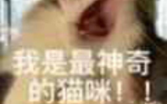 整理了一下很久的素材，感觉我好帅