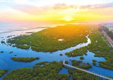 大连市北海公园在哪个区