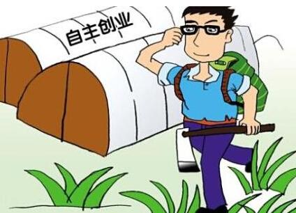 农村创业贷款是无息吗?