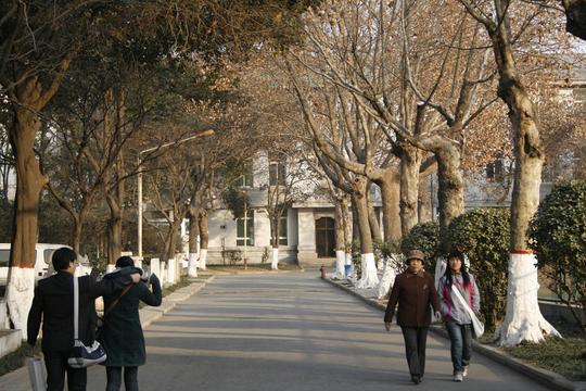 冬季,阳光,校园