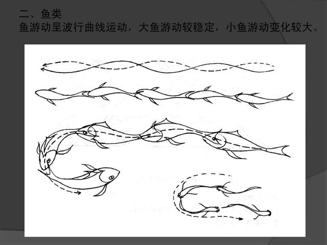 婴儿运动超前好不好