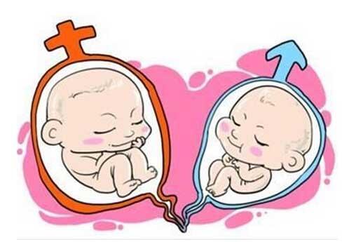 女人怎么做容易生双胞胎