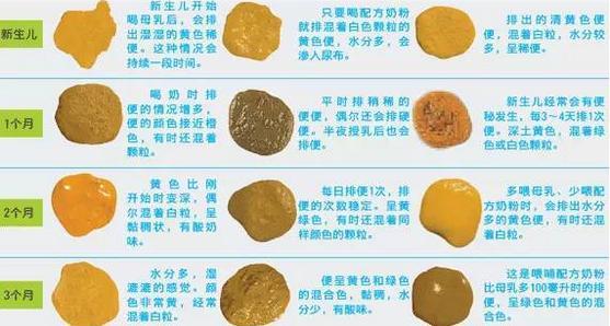 教宝宝识别颜色的动画片