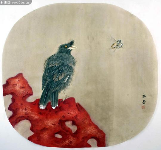 鸟的工笔画图片扇面画素材
