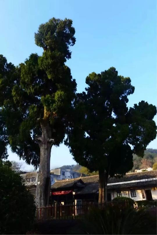 长汀古城在哪里?长汀有什么好玩的?长汀旅游必去十处景点
