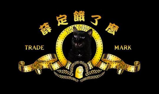 来一打脑洞短视频,"薛定饿了么"的思维漩涡能激发学习