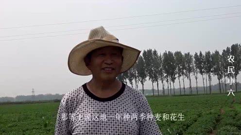都说农村种地不挣钱，农民大叔七八亩地一年挣两万多，听大叔咋说