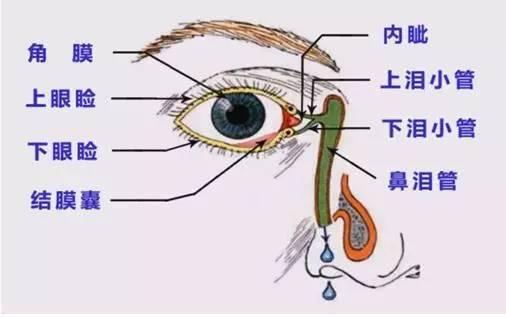 家长不要再做这件事了