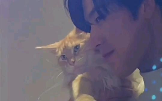 【抖音不心动挑战】我和我的猫都想你了，你怎么还不来?