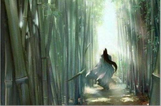 竹林古风侠客背影