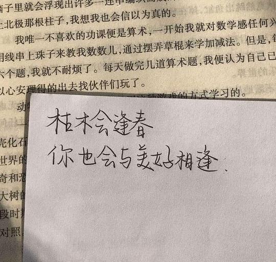 温柔语录文案治愈_干净温柔治愈系文案-第5张图片-文案大大