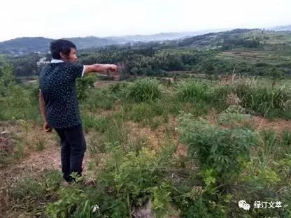 【残疾人自主创业典型报道之十】郑伯平,四级肢残竟是