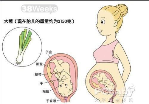 怀孕38周注意事项有哪些