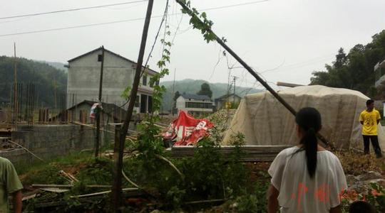 鸬鹚渡镇农村户外广告整顿取得实效